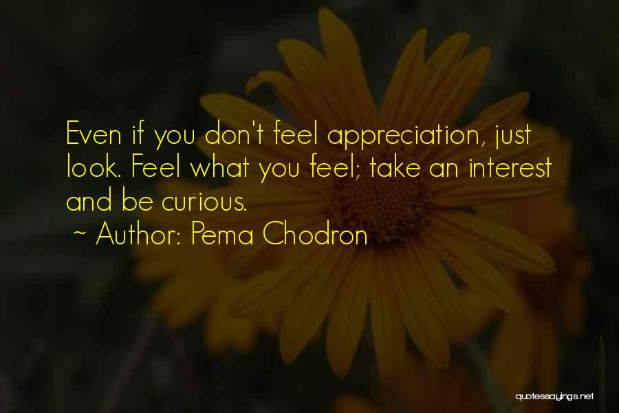 Pema Chodron Quotes: Even If You Don't Feel Appreciation, Just Look. Feel What You Feel; Take An Interest And Be Curious.