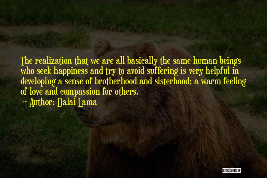 Dalai Lama Quotes: The Realization That We Are All Basically The Same Human Beings Who Seek Happiness And Try To Avoid Suffering Is