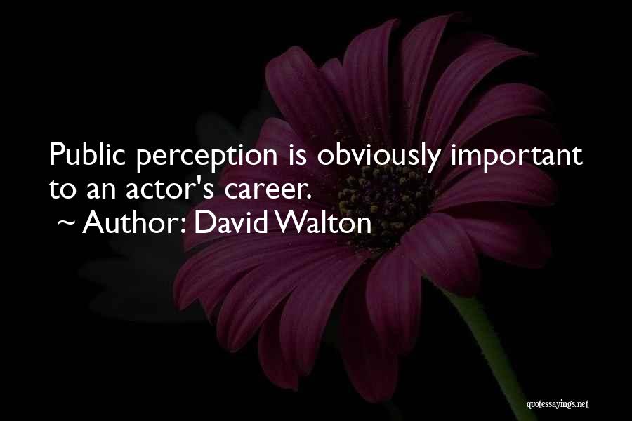 David Walton Quotes: Public Perception Is Obviously Important To An Actor's Career.