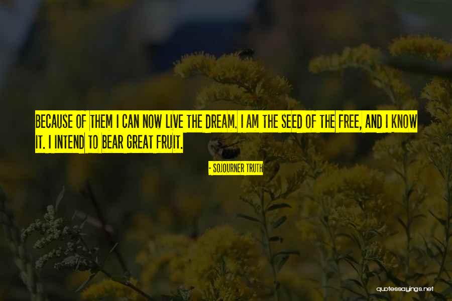 82ou Quotes By Sojourner Truth 82ou Quotes By Sojourner Truth