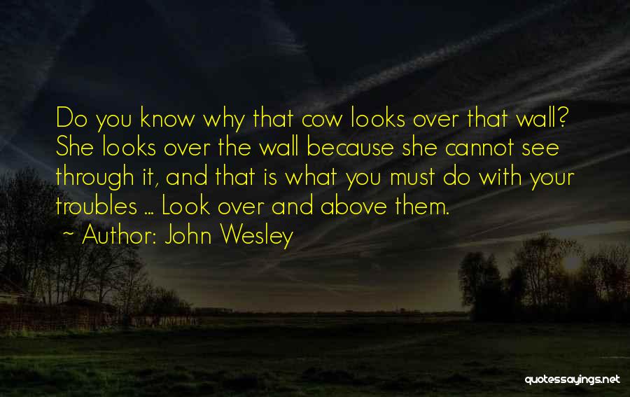 John Wesley Quotes: Do You Know Why That Cow Looks Over That Wall? She Looks Over The Wall Because She Cannot See Through