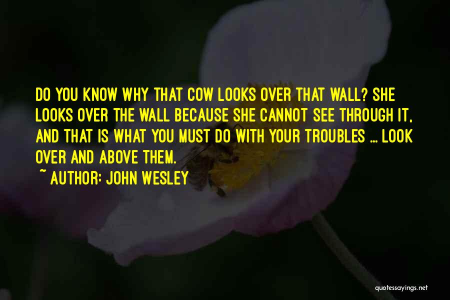 John Wesley Quotes: Do You Know Why That Cow Looks Over That Wall? She Looks Over The Wall Because She Cannot See Through