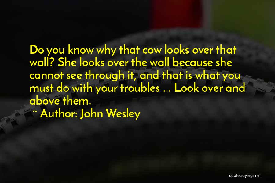 John Wesley Quotes: Do You Know Why That Cow Looks Over That Wall? She Looks Over The Wall Because She Cannot See Through