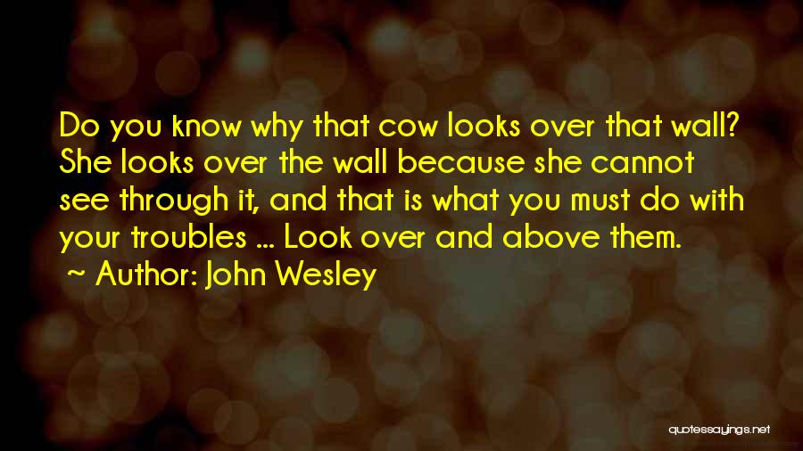 John Wesley Quotes: Do You Know Why That Cow Looks Over That Wall? She Looks Over The Wall Because She Cannot See Through