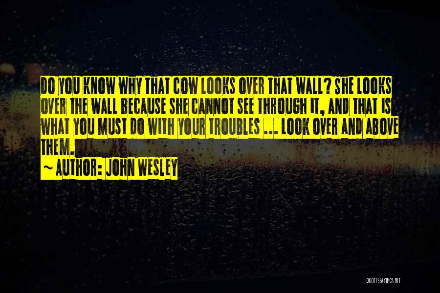 John Wesley Quotes: Do You Know Why That Cow Looks Over That Wall? She Looks Over The Wall Because She Cannot See Through