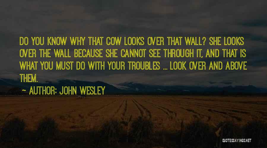 John Wesley Quotes: Do You Know Why That Cow Looks Over That Wall? She Looks Over The Wall Because She Cannot See Through