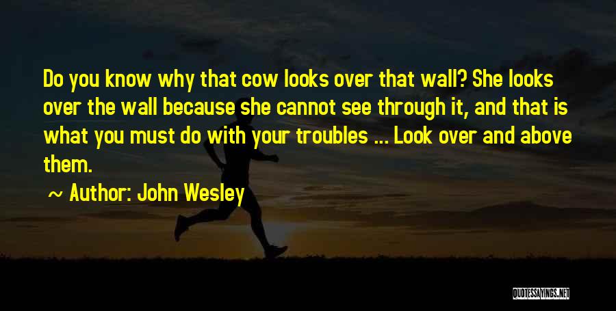 John Wesley Quotes: Do You Know Why That Cow Looks Over That Wall? She Looks Over The Wall Because She Cannot See Through