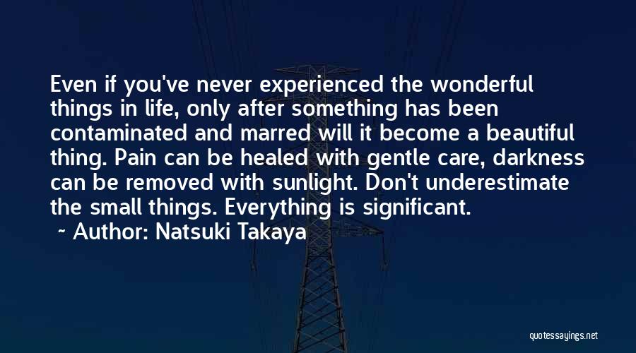 Natsuki Takaya Quotes: Even If You've Never Experienced The Wonderful Things In Life, Only After Something Has Been Contaminated And Marred Will It