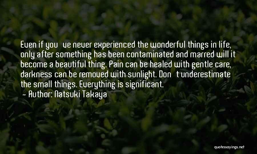 Natsuki Takaya Quotes: Even If You've Never Experienced The Wonderful Things In Life, Only After Something Has Been Contaminated And Marred Will It