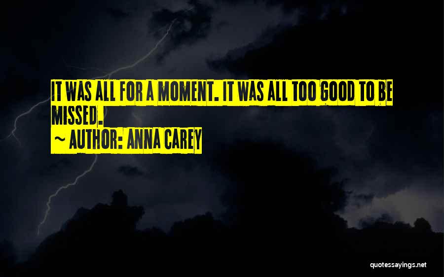 Anna Carey Quotes: It Was All For A Moment. It Was All Too Good To Be Missed.