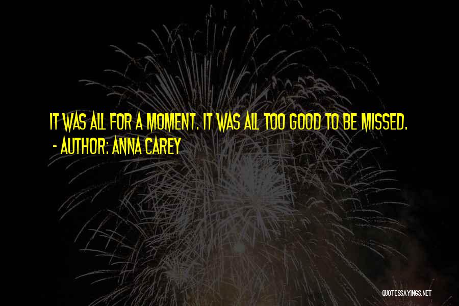 Anna Carey Quotes: It Was All For A Moment. It Was All Too Good To Be Missed.