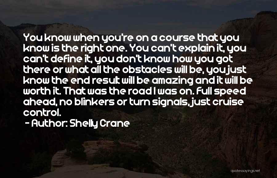 Shelly Crane Quotes: You Know When You're On A Course That You Know Is The Right One. You Can't Explain It, You Can't