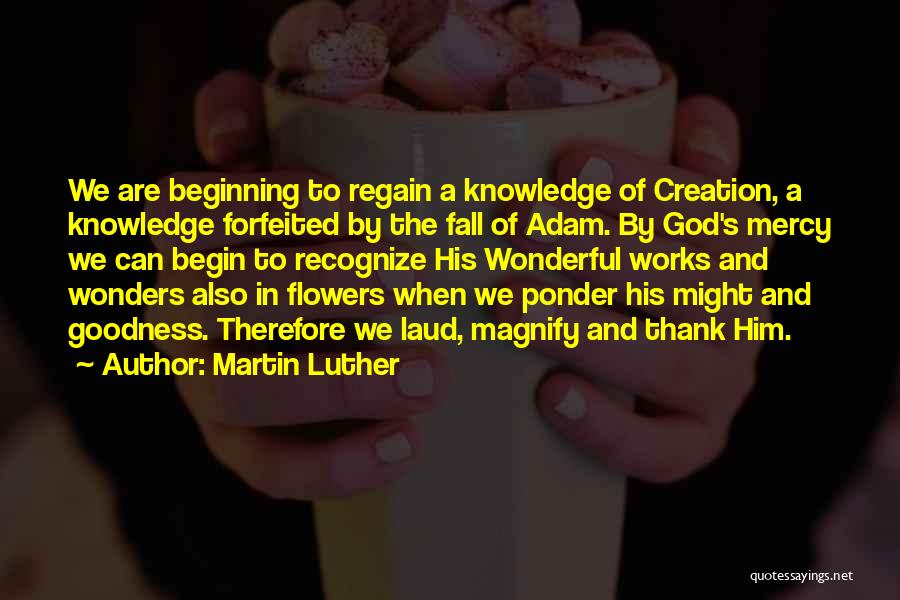 Martin Luther Quotes: We Are Beginning To Regain A Knowledge Of Creation, A Knowledge Forfeited By The Fall Of Adam. By God's Mercy