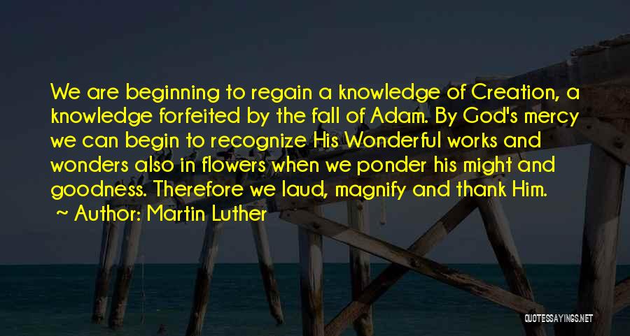 Martin Luther Quotes: We Are Beginning To Regain A Knowledge Of Creation, A Knowledge Forfeited By The Fall Of Adam. By God's Mercy