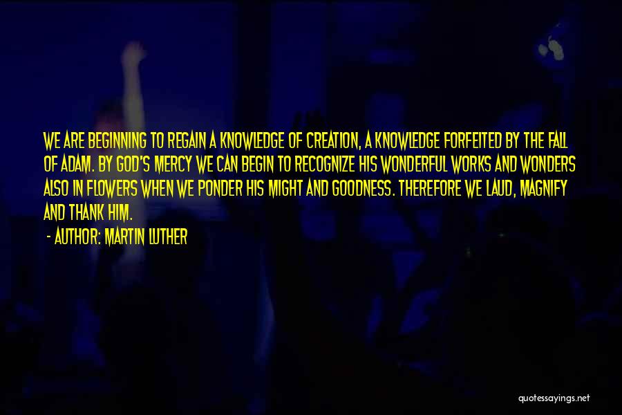 Martin Luther Quotes: We Are Beginning To Regain A Knowledge Of Creation, A Knowledge Forfeited By The Fall Of Adam. By God's Mercy