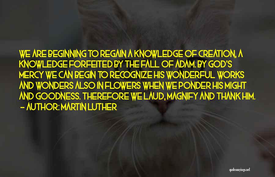 Martin Luther Quotes: We Are Beginning To Regain A Knowledge Of Creation, A Knowledge Forfeited By The Fall Of Adam. By God's Mercy