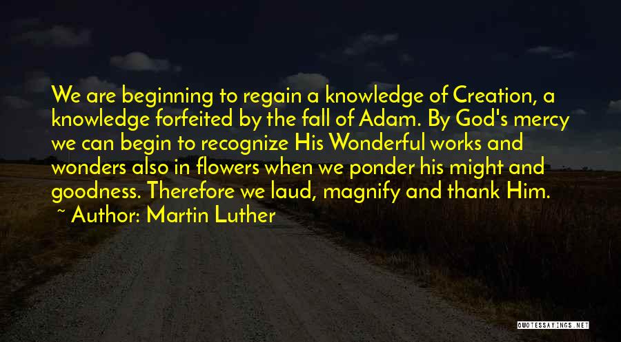 Martin Luther Quotes: We Are Beginning To Regain A Knowledge Of Creation, A Knowledge Forfeited By The Fall Of Adam. By God's Mercy