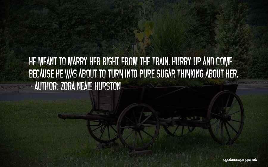 Zora Neale Hurston Quotes: He Meant To Marry Her Right From The Train. Hurry Up And Come Because He Was About To Turn Into