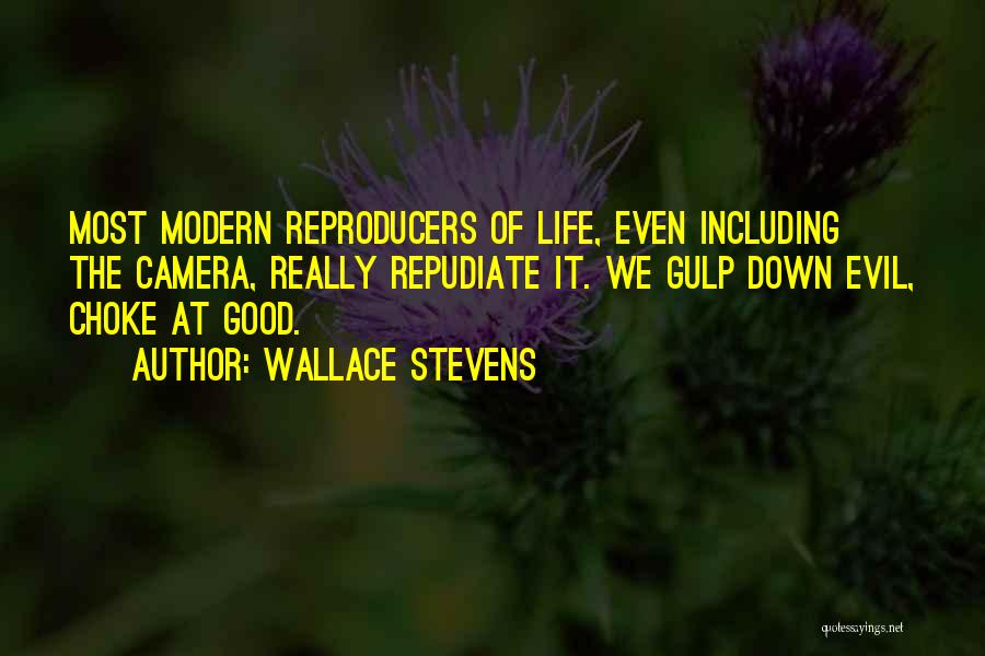 Wallace Stevens Quotes: Most Modern Reproducers Of Life, Even Including The Camera, Really Repudiate It. We Gulp Down Evil, Choke At Good.