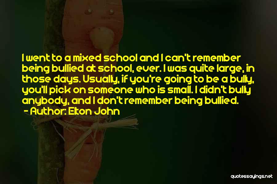 Elton John Quotes: I Went To A Mixed School And I Can't Remember Being Bullied At School, Ever. I Was Quite Large, In