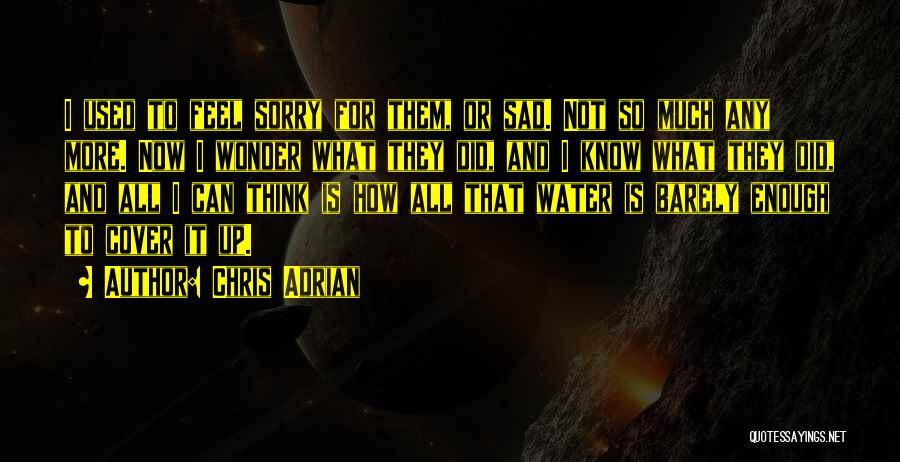 Chris Adrian Quotes: I Used To Feel Sorry For Them, Or Sad. Not So Much Any More. Now I Wonder What They Did,