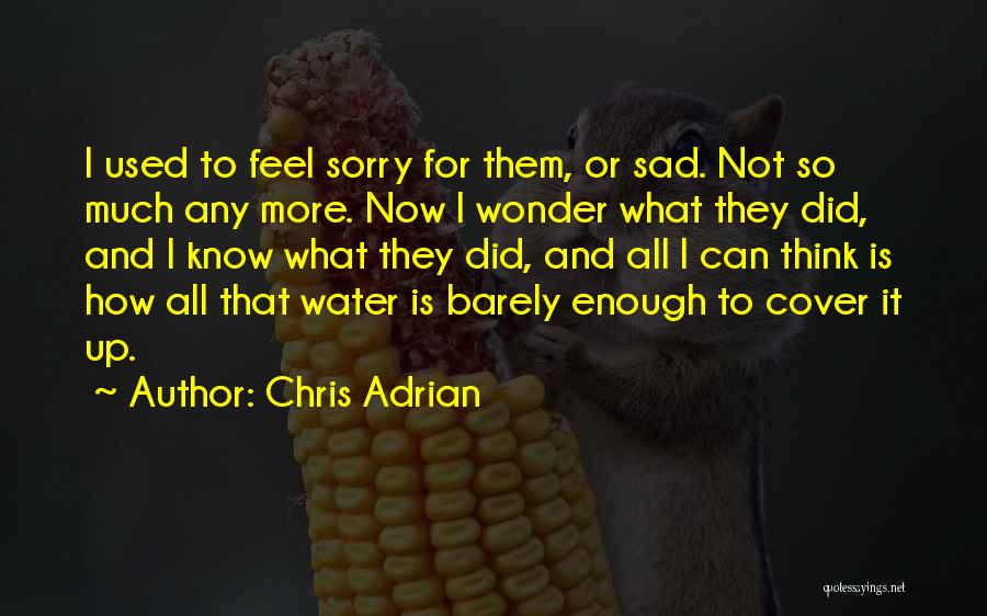 Chris Adrian Quotes: I Used To Feel Sorry For Them, Or Sad. Not So Much Any More. Now I Wonder What They Did,