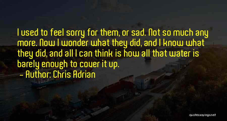 Chris Adrian Quotes: I Used To Feel Sorry For Them, Or Sad. Not So Much Any More. Now I Wonder What They Did,