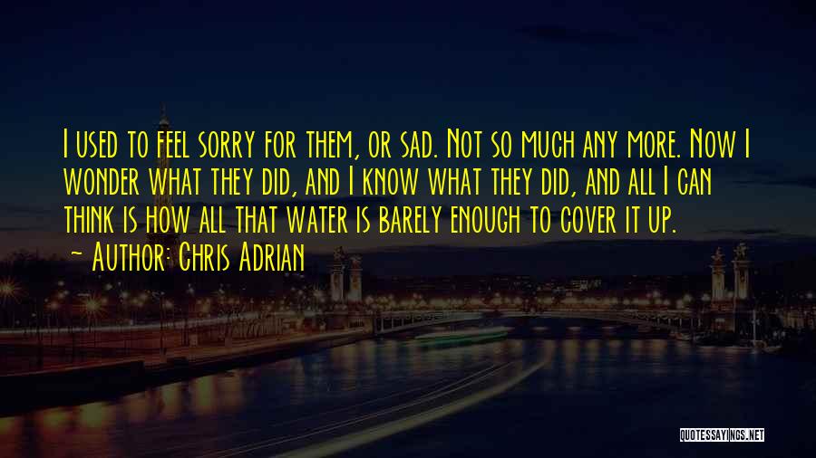 Chris Adrian Quotes: I Used To Feel Sorry For Them, Or Sad. Not So Much Any More. Now I Wonder What They Did,