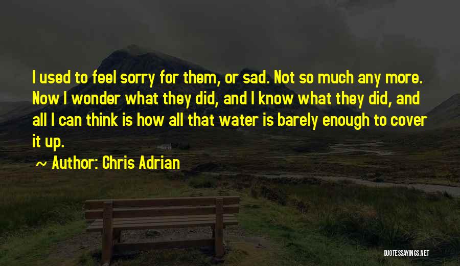 Chris Adrian Quotes: I Used To Feel Sorry For Them, Or Sad. Not So Much Any More. Now I Wonder What They Did,