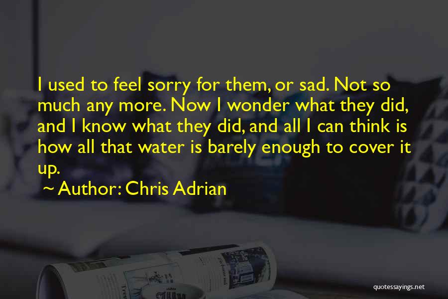 Chris Adrian Quotes: I Used To Feel Sorry For Them, Or Sad. Not So Much Any More. Now I Wonder What They Did,