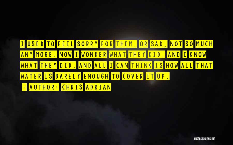 Chris Adrian Quotes: I Used To Feel Sorry For Them, Or Sad. Not So Much Any More. Now I Wonder What They Did,