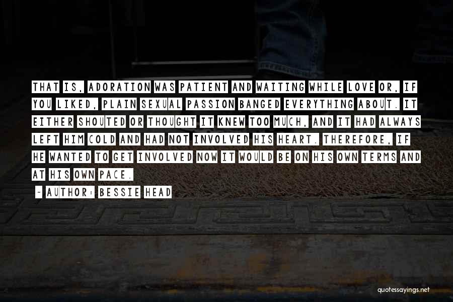 Bessie Head Quotes: That Is, Adoration Was Patient And Waiting While Love Or, If You Liked, Plain Sexual Passion Banged Everything About. It
