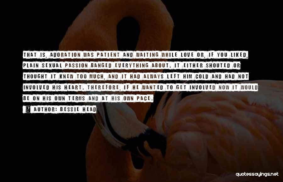 Bessie Head Quotes: That Is, Adoration Was Patient And Waiting While Love Or, If You Liked, Plain Sexual Passion Banged Everything About. It