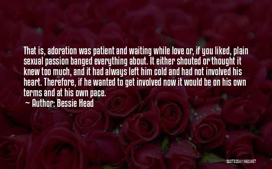 Bessie Head Quotes: That Is, Adoration Was Patient And Waiting While Love Or, If You Liked, Plain Sexual Passion Banged Everything About. It