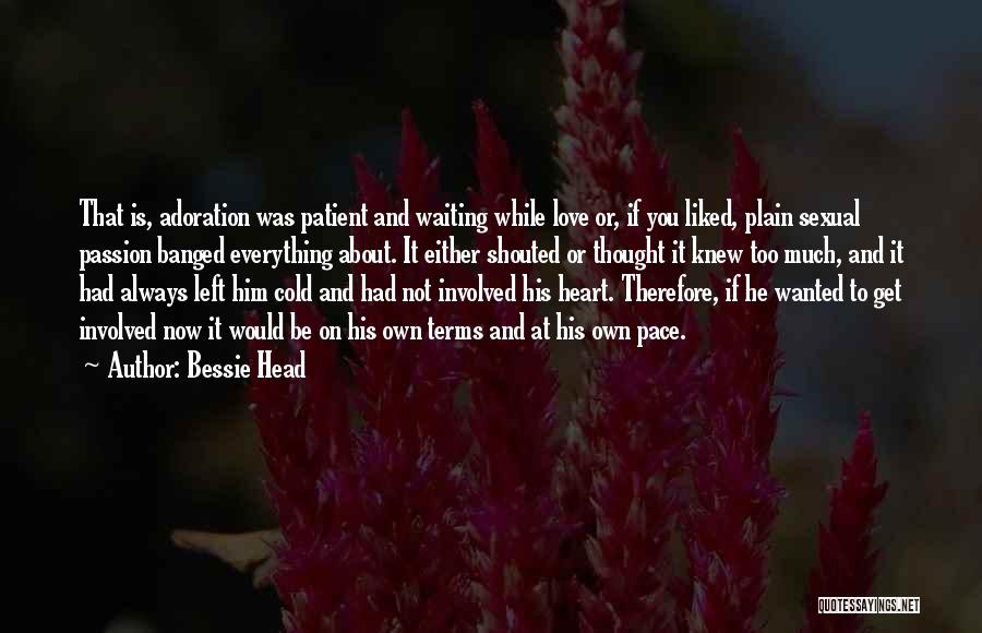 Bessie Head Quotes: That Is, Adoration Was Patient And Waiting While Love Or, If You Liked, Plain Sexual Passion Banged Everything About. It