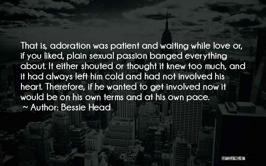 Bessie Head Quotes: That Is, Adoration Was Patient And Waiting While Love Or, If You Liked, Plain Sexual Passion Banged Everything About. It