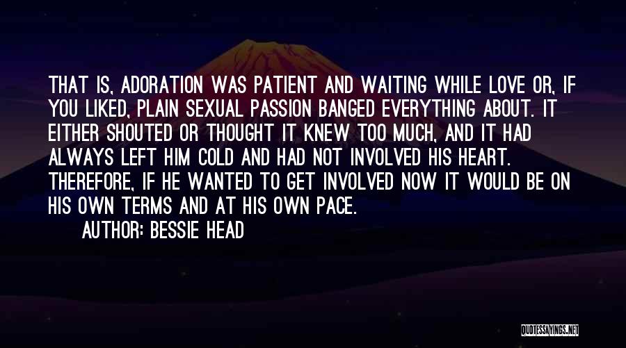 Bessie Head Quotes: That Is, Adoration Was Patient And Waiting While Love Or, If You Liked, Plain Sexual Passion Banged Everything About. It