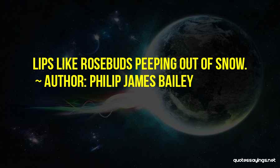 Philip James Bailey Quotes: Lips Like Rosebuds Peeping Out Of Snow.