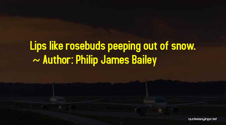 Philip James Bailey Quotes: Lips Like Rosebuds Peeping Out Of Snow.