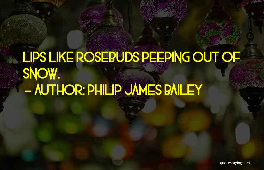 Philip James Bailey Quotes: Lips Like Rosebuds Peeping Out Of Snow.
