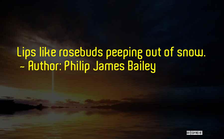 Philip James Bailey Quotes: Lips Like Rosebuds Peeping Out Of Snow.