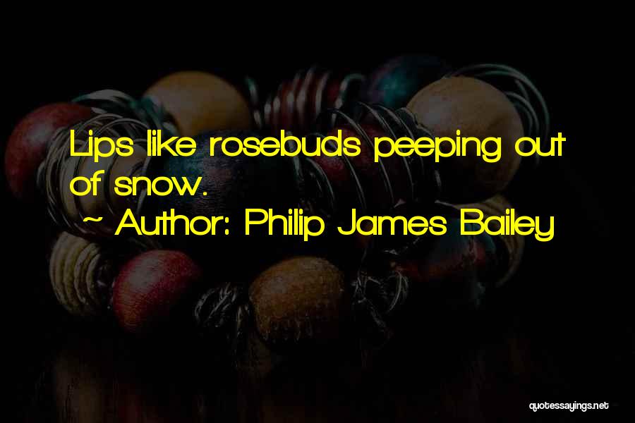 Philip James Bailey Quotes: Lips Like Rosebuds Peeping Out Of Snow.
