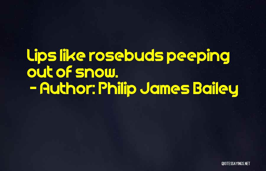 Philip James Bailey Quotes: Lips Like Rosebuds Peeping Out Of Snow.