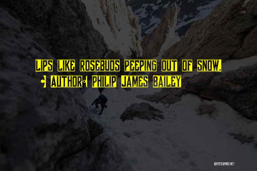 Philip James Bailey Quotes: Lips Like Rosebuds Peeping Out Of Snow.