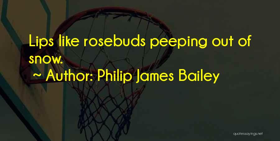 Philip James Bailey Quotes: Lips Like Rosebuds Peeping Out Of Snow.
