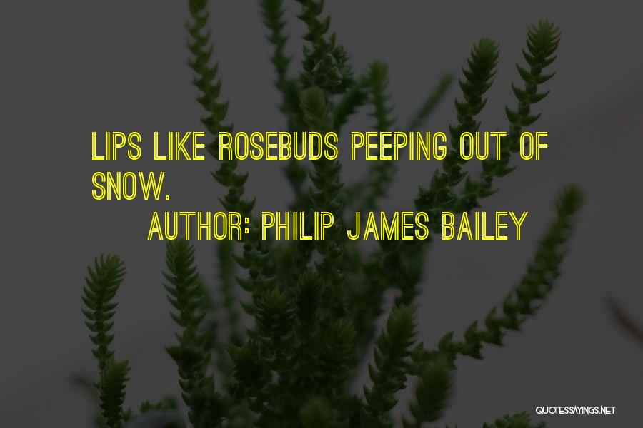 Philip James Bailey Quotes: Lips Like Rosebuds Peeping Out Of Snow.