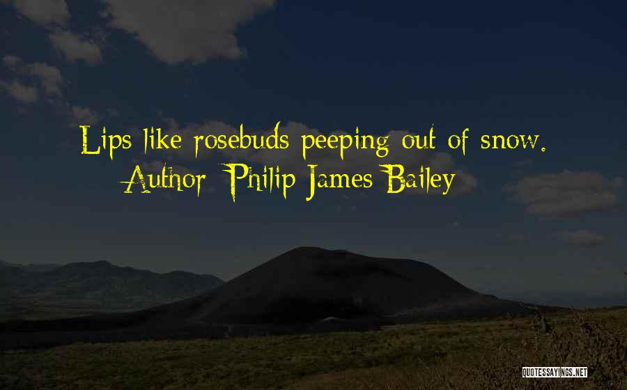 Philip James Bailey Quotes: Lips Like Rosebuds Peeping Out Of Snow.