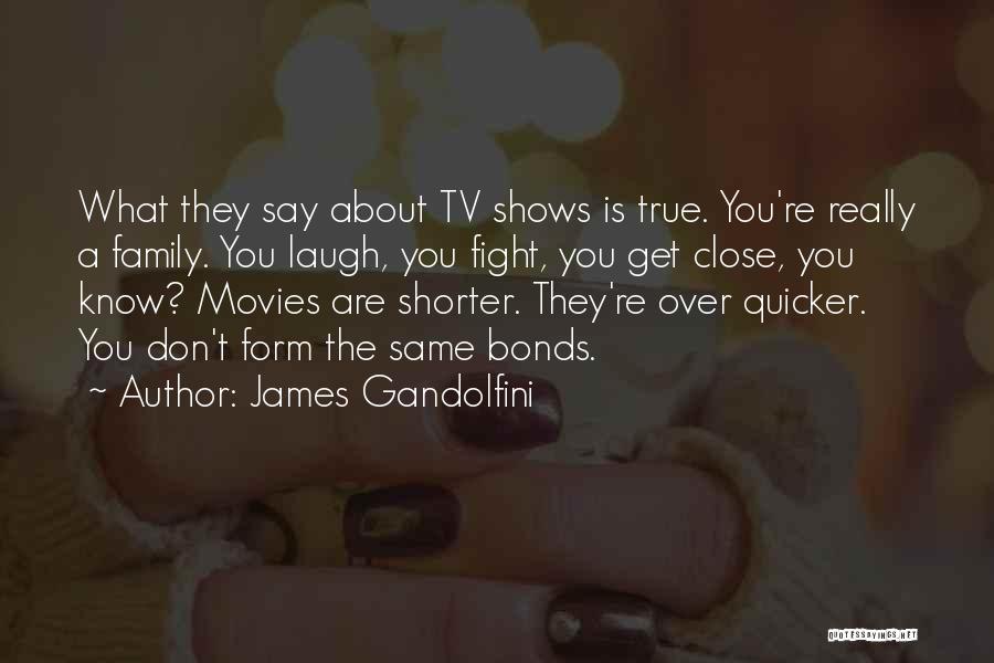 James Gandolfini Quotes: What They Say About Tv Shows Is True. You're Really A Family. You Laugh, You Fight, You Get Close, You