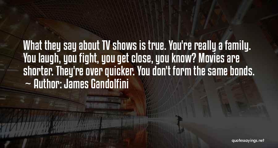 James Gandolfini Quotes: What They Say About Tv Shows Is True. You're Really A Family. You Laugh, You Fight, You Get Close, You