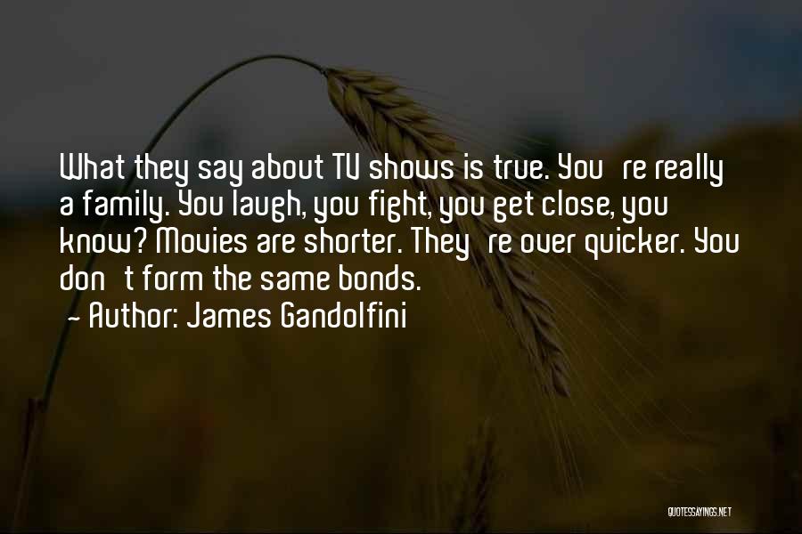 James Gandolfini Quotes: What They Say About Tv Shows Is True. You're Really A Family. You Laugh, You Fight, You Get Close, You